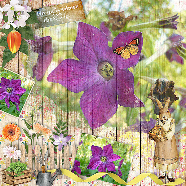 Home Garden