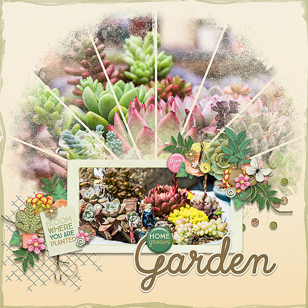 Home Grown Garden