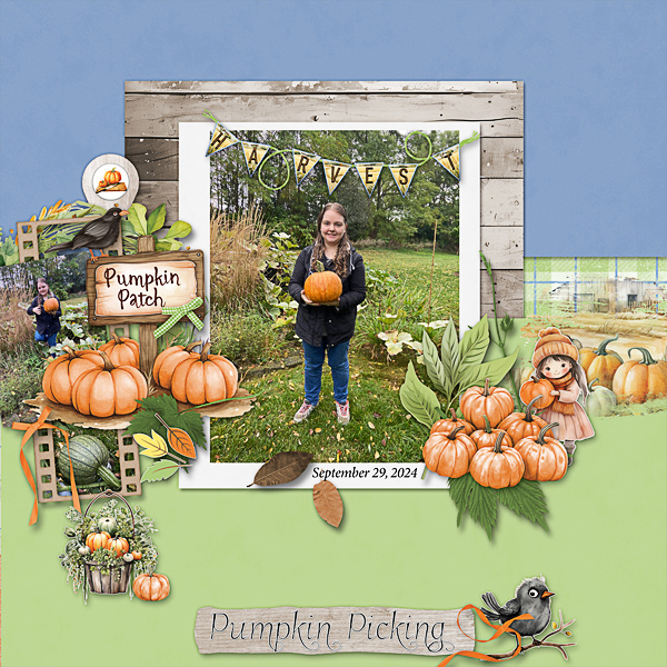 Home Grown Pumpkins