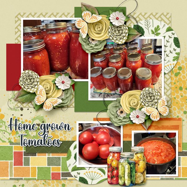 Home Grown Tomatoes