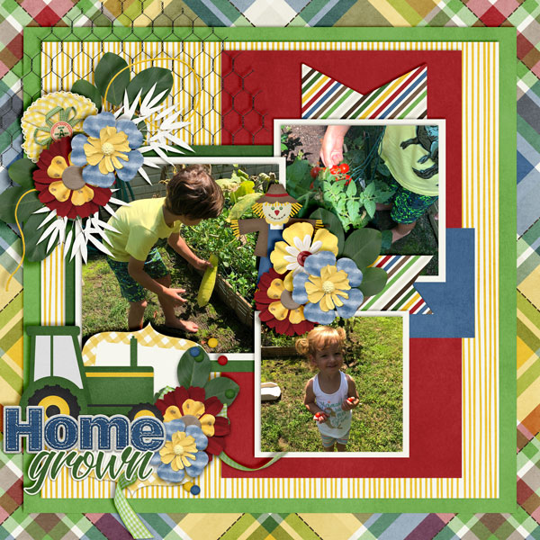 Home-Grown3