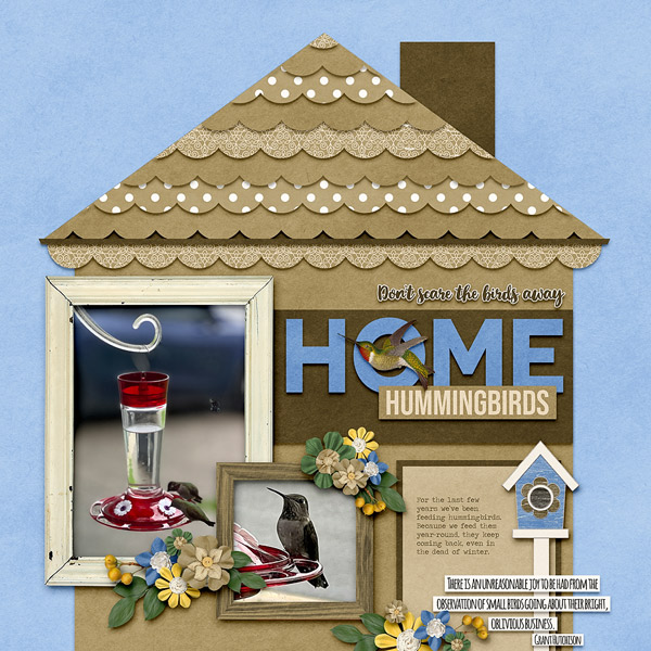 Home Hummingbirds