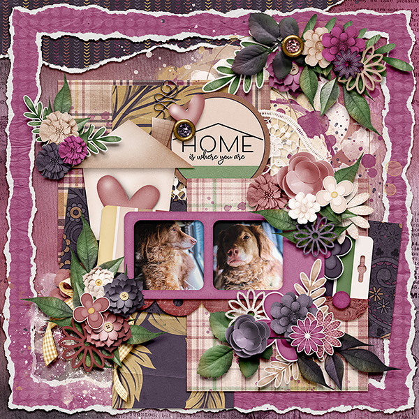 Home Is Where You Are