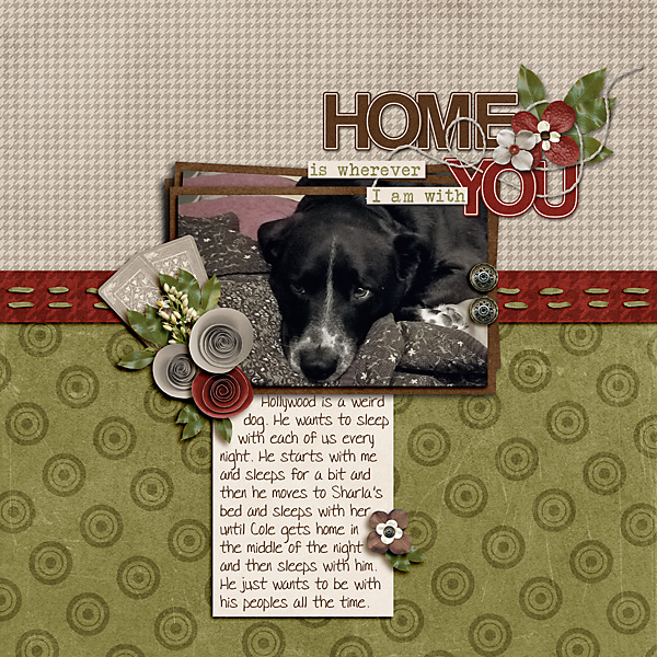 Home Is Wherever I Am With You