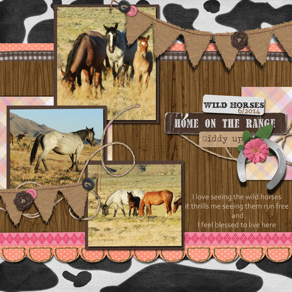 Home on the Range
