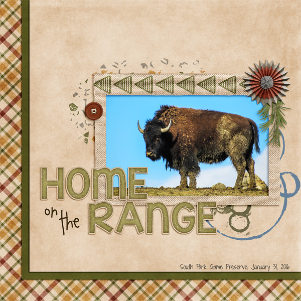 Home on the Range