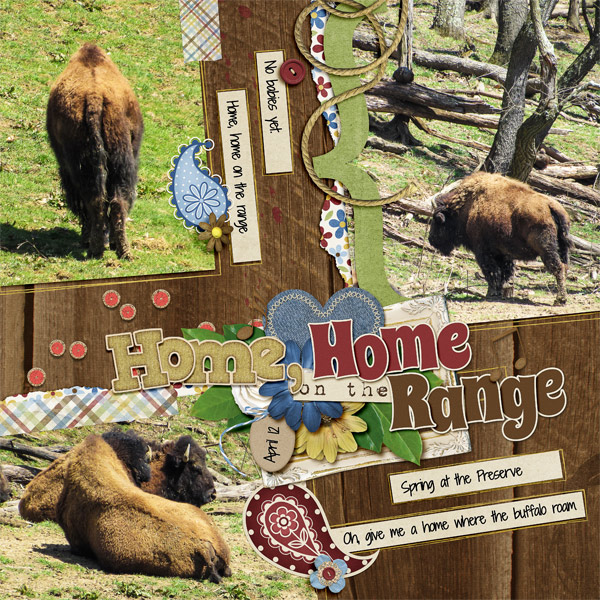 Home on the Range