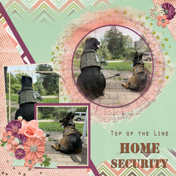 Home Security