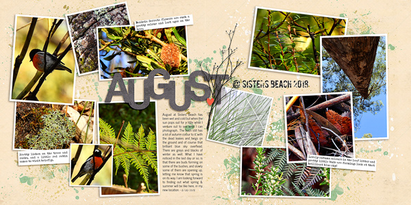 HOME - SISTERS BEACH TASMANIA   FULL TWO PAGES
