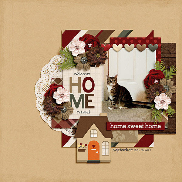 Home
