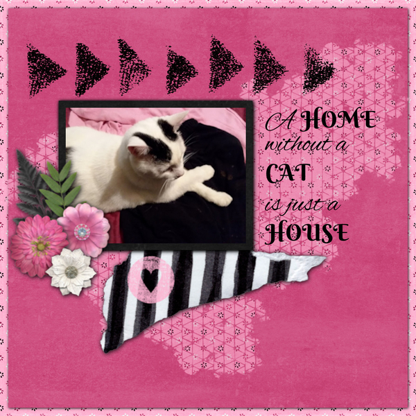 Home
