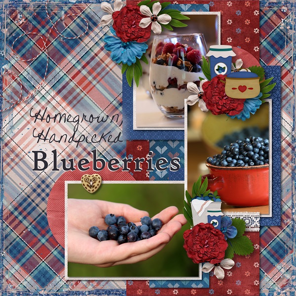 Homegrown Handpicked Blueberries