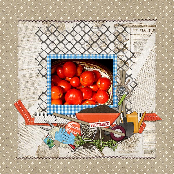 Homegrown Tomatoes - Yum!