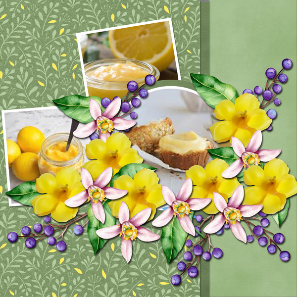 Homemade Lemonade