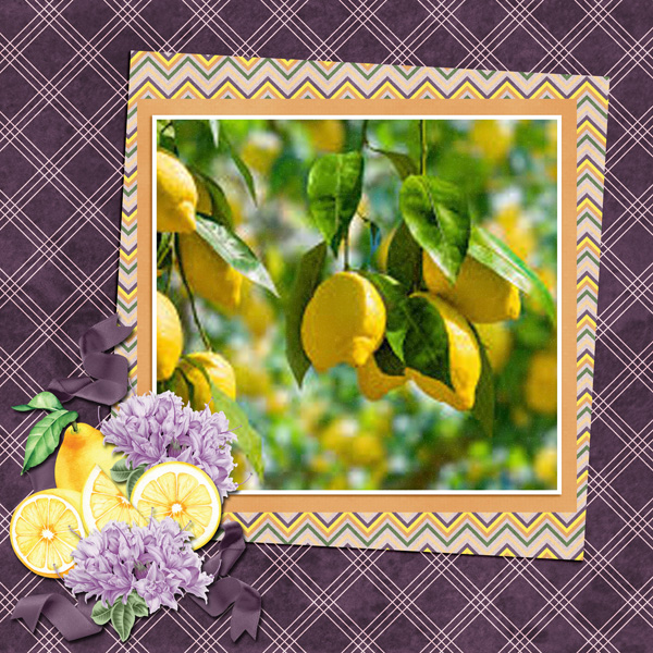 Homemade Lemonade