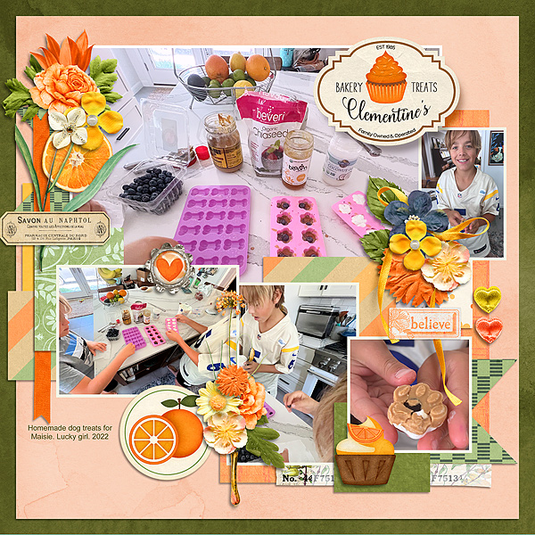 Homemade Treats