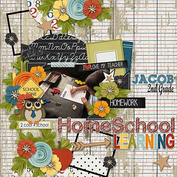 Homeschool Learning