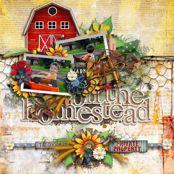 Homestead