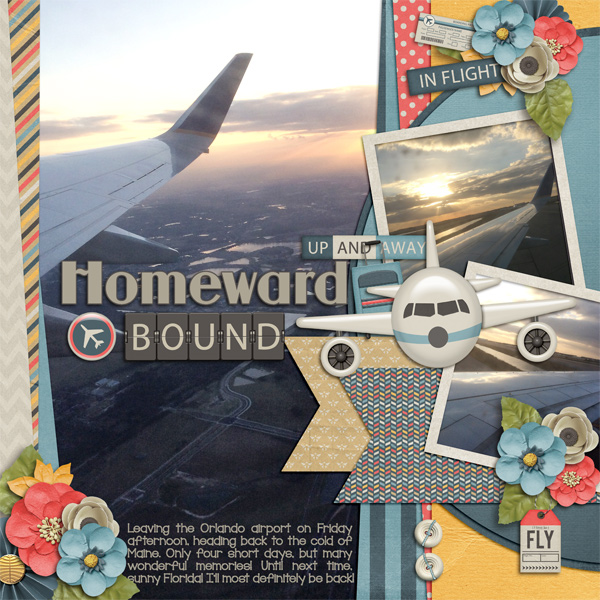 Homeward Bound