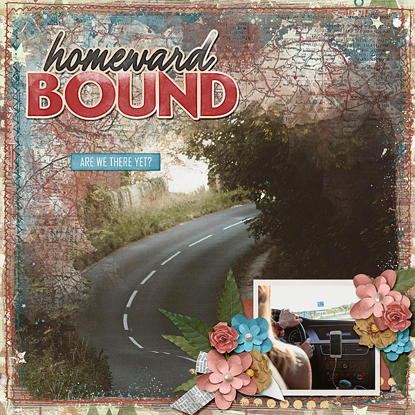 Homeward Bound