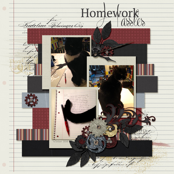 Homework Hassles