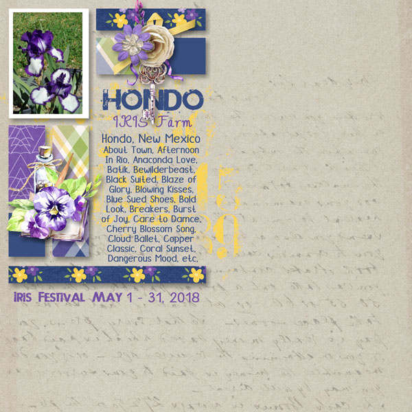 Hondo Iris Farm
