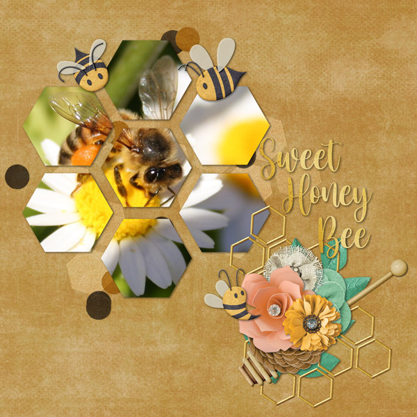 Honey Bee on Flower