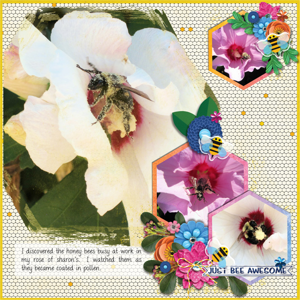 Honey Bee