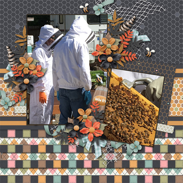 Honey Bees