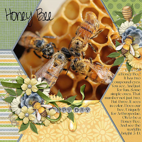 Honey Bees