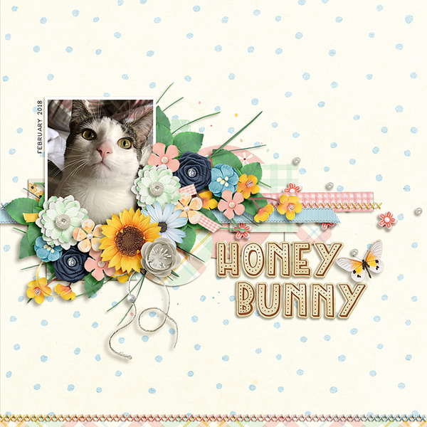 honey bunny