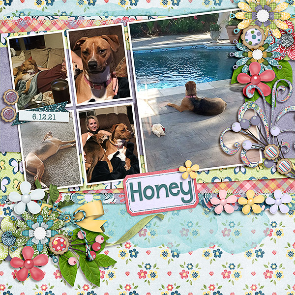 Honey Girl 2
