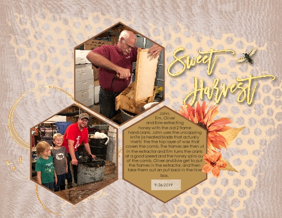 Honey Sweet Harvest