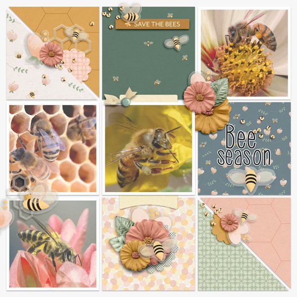 Honeybee-July-Template.jpg