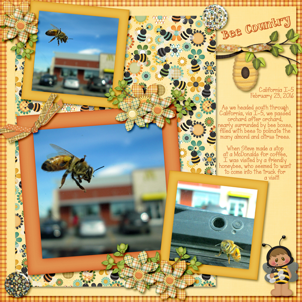 Honeybee on California I-5