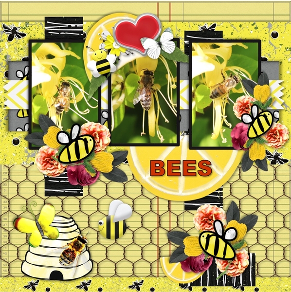 Honeybees