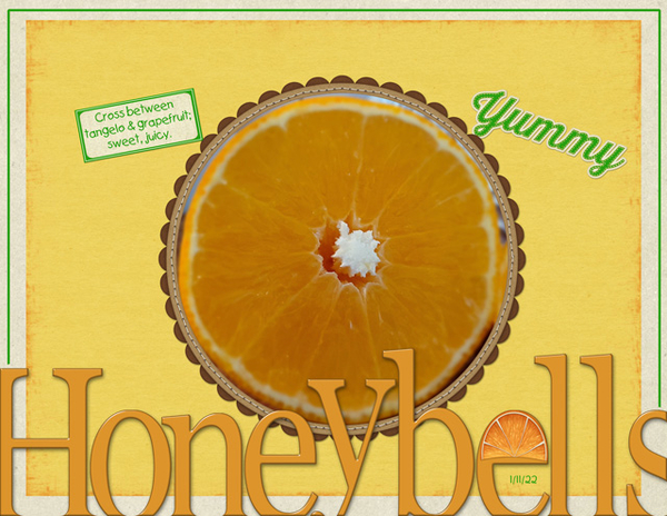 Honeybells