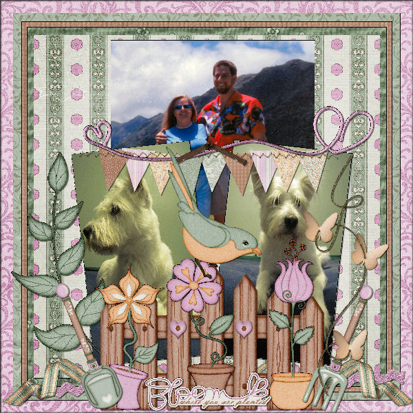 HoneyMoon In Hawaii
