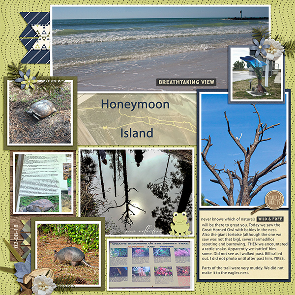 Honeymoon Island_R