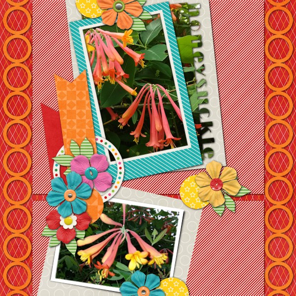 Honeysuckle