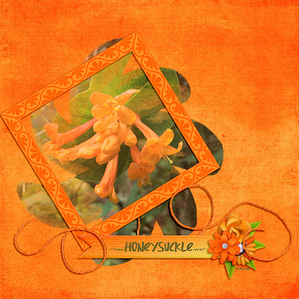 Honeysuckle