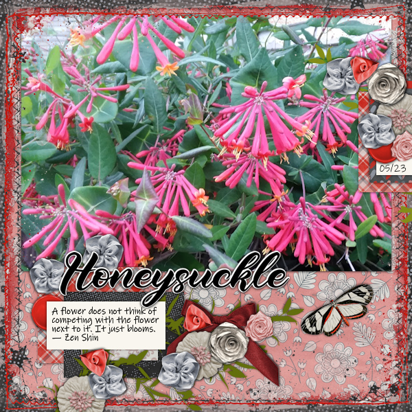 Honeysuckle