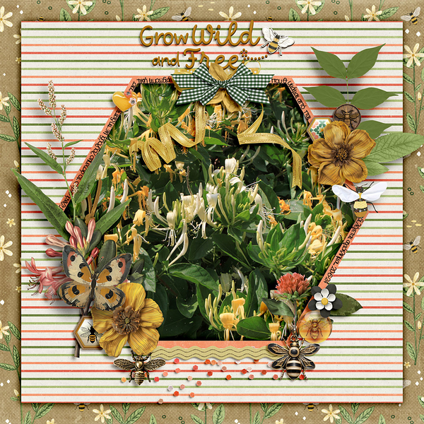 Honeysuckle