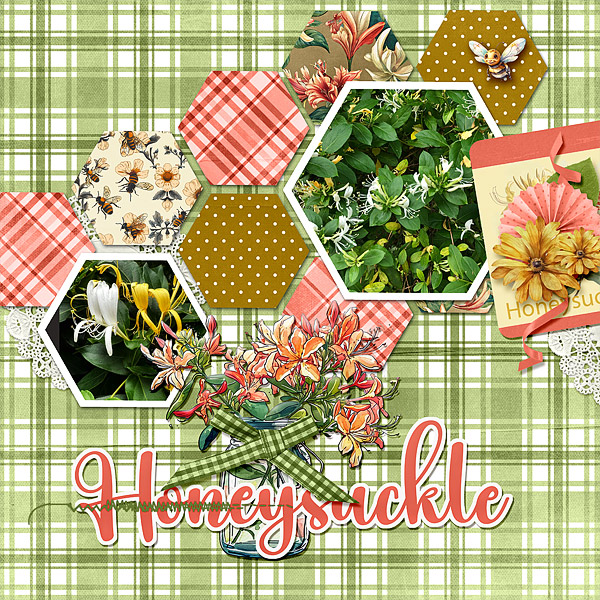 Honeysuckle