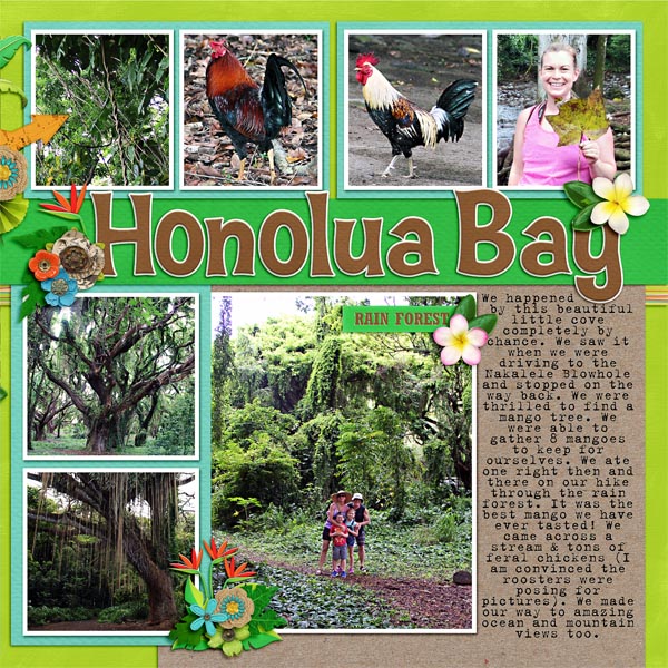 HonoluaBay2
