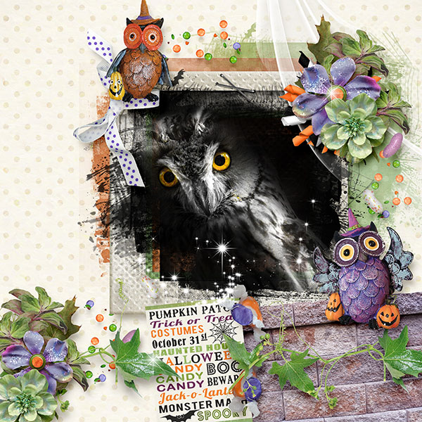 Hoot Hoot it's Halloween!