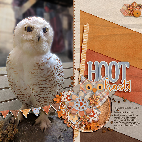 Hoot Hoot