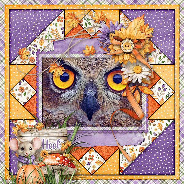 Hoot