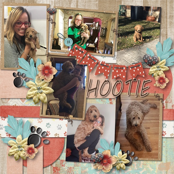 Hootie