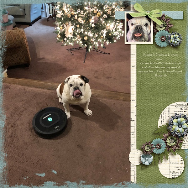 Hoover vs. Roomba